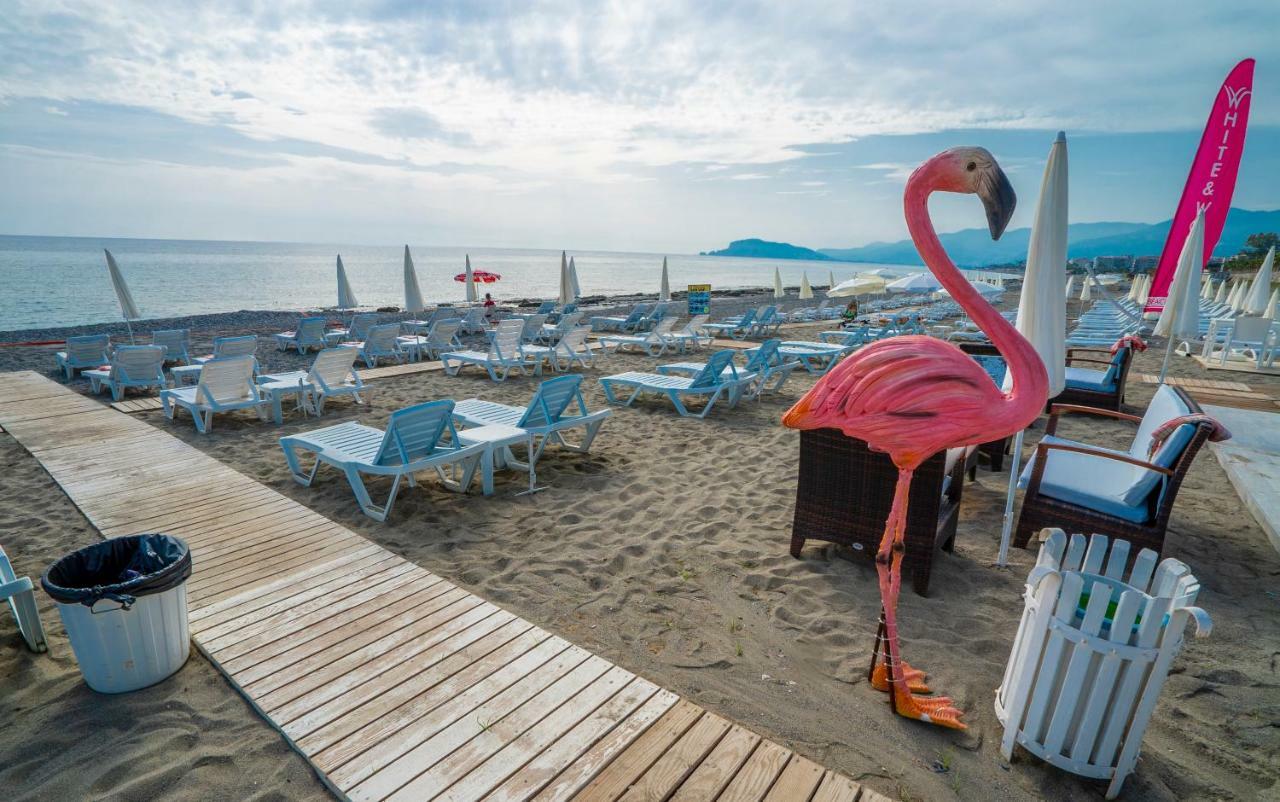 Campus Hill Hotel Alanya Esterno foto
